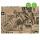 BRAUN & COMPANY  Geschenkpapier 70cmx2m  News schwarz, Kraftpapier 100% recycelt, By nature, Braun & Company