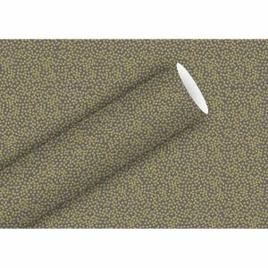 BRAUN & COMPANY  Geschenkpapier 70cmx2m  Minidots grau-gold, Braun & Company