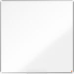 Whiteboard Premium Plus, NanoClean, Standard 120 x 120...