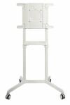 PureMounts® TV Standfuß, mobil, Display...