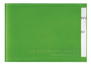 Document Safe 1, Schutzhülle passend für 1 Karte, 63 x 90 mm, hellgrün