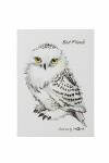 Pagna Freundebuch Eule 60S 4009212060570