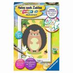 Malen nach Zahlen  Kleiner Igel, Serie F ab 7 Jahren,...