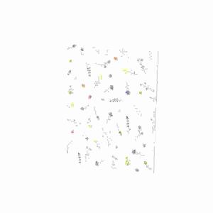Briefpapierpack 10/10  Frühlingsblumen, Rössler