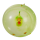 OOTB Aufblasbarer Ballon-Ball Dinosaurier