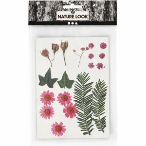 Blüten und Blätter rosa  gepresst, Creativ Company
