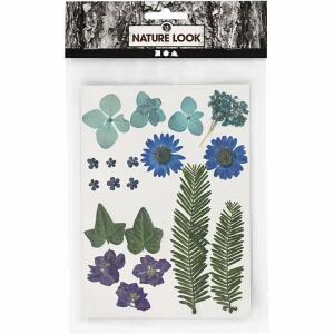 Blüten und Blätter blau  gepresst, Creativ Company
