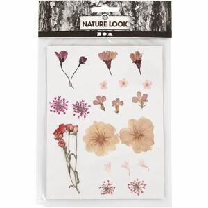 Blüten und Blätter  hellrosa gepresst, Creativ Company