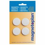 Magnete Discofix Standard gebli