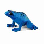 Pfeilgiftfrosch 3,2cm