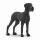 Dogge 6,3cm