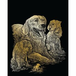 Retriever 20x25cm gold, inklusive Kratzfeder, vorgezeichnete Linien, ab 8 Jahren,, ROYAL & LANGNICKEL