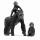 Gorilla-Familie