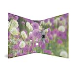 Herma Motiv-Ordner Karton A4, 7 cm Rückenbreite Purple Sensation
