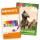 Roth Ausmal-Set mit Buntstiften, Tyrannosaurus, 10,5x16cm