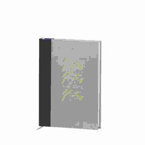 Notizbuch Notes Notes  and more Notes A5 Sage, Rössler