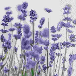 Serviette 33x33cm  Violet violett FSC-Mix