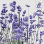 Serviette 33x33cm  Violet violett FSC-Mix