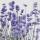 Serviette 33x33cm  Violet violett FSC-Mix