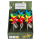 OOTB Bunte Windmühle mit 3 LED farbwechselnd H: 28 cm