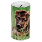 OOTB Metall-Spardose Tiere