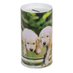 OOTB Metall-Spardose Tiere