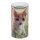 OOTB Metall-Spardose Tiere