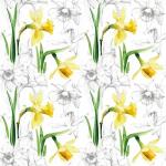 Servietten 33x33cm  Narcissus Sketch