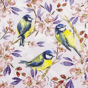 Motivserviette 33x33cm HOME F. 212306  3lag Vögel