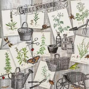 Servietten 33x33cm  Green House FSC-Mix