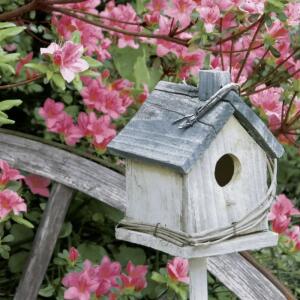 Servietten 33x33cm  Spring Birdhouse FSC-Mix, 20 Stück,, Paper+Design