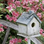 Servietten 33x33cm  Spring Birdhouse FSC-Mix, 20...