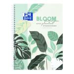 Collegeblock A4+/80BL Lin27 liniert 2Des OXFORD 400172135...