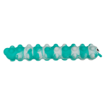 OOTB Fidget Pop N Stick Toy Raupe