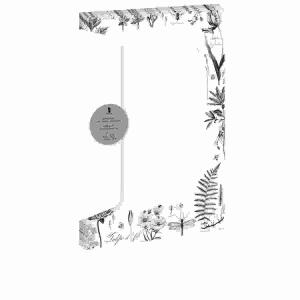 Briefpapier 5/5 A4/DL  Botanicals Designpack, 5 Blatt Papier A4, 5 Briefumschläge DL,, Rössler