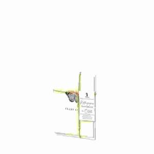 Kartenset Botanicals 4/4  A6hd/C6 HF Schmetterling, Rössler
