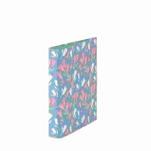 Ringbuch A5 2 Ringe  Tilly, Rössler