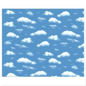 MOTIV-FOTOKARTON 300G.49,5x68CM,WOLKEN