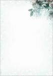 SIGEL DP424 Weihnachts-Motiv-Papier - Eukalyptus -...