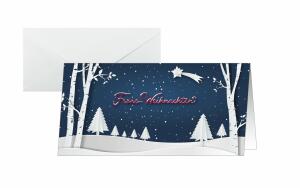SIGEL DS087 Weihnachts-Karten - Winterlandschaft - blau/weiß/rot - DIN lang - 25 Karten + Umschläge - inkl. Umschläge