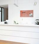 SIGEL GL289 Glas-Magnettafel Artverum - koralle - 91 x 46 x 1,50 cm