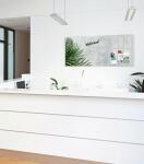 SIGEL GL298 Glas-Magnettafel Artverum - grau/grün - 130 x 55 x 1,80 cm - Botanic - polierte Ecken - Sicherheitsglas (ESG), Stahl - GS-geprüft