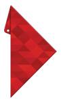 Aristo Geocover 25 cm mit Geodreieck AR1555/4 +...