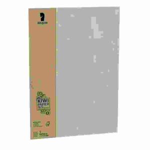 Briefpapier A4 Terra  Kiwi 5er, Flächenmasse 120 g/m² , Naturpapier/säurefrei,, Kiwi Papier/15% Reste der Kiwiverarbeitung,