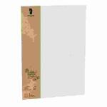 Briefpapier A4 Terra  Flanell 5er, Flächenmasse 120...