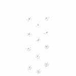 Sticker Nature Flowers  Small Blossom white