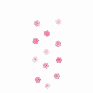 Sticker Nature Flowers  Small Blossom rose