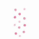 Sticker Nature Flowers  Small Blossom rose