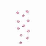 Sticker Nature Flowers  Small Roses