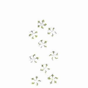 Sticker Nature Flowers  white blossom